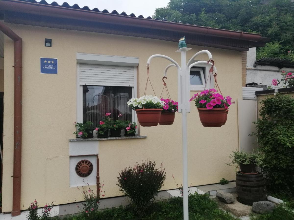 Studio Apartman Bandb Ðakovo 外观 照片